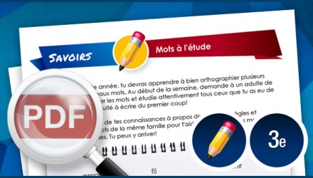 Mots à l&rsquo;étude – 3e année