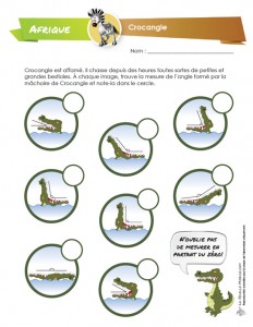 Afrique-5-6_crocangle_preview