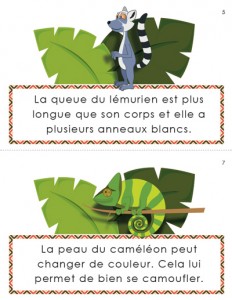 lafeuillemobile_lecture_les-animaux-afrique_1-2_preview3