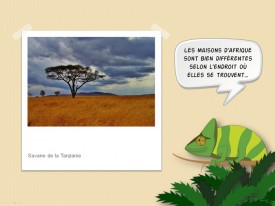 les-maisons-afrique_PPT-preview3