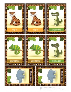 Lafeuillemobile_jeu-de-memoire_Afrique-preview3