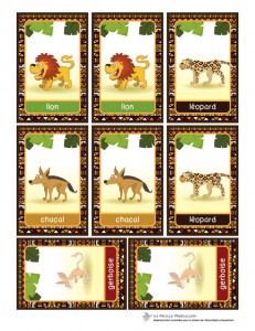 Lafeuillemobile_jeu-de-memoire_Afrique-preview5