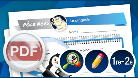 Le pingouin