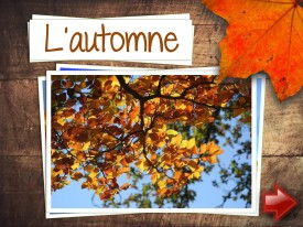LaFeuilleMobile_Automne_5-6_Feuilles_Page_1