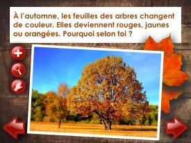 LaFeuilleMobile_Automne_5-6_Feuilles_Page_3