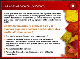 LaFeuilleMobile_Automne_5-6_Feuilles_Page_4