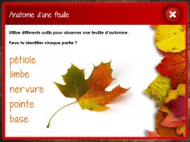 LaFeuilleMobile_Automne_5-6_Feuilles_Page_5