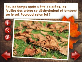 LaFeuilleMobile_Automne_5-6_Feuilles_Page_6