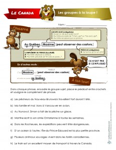LaFeuilleMobile_Canada_4-6_Les_groupes_a_la_loupe_Page_1