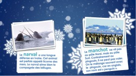 LaFeuilleMobile_Pole_Nord_Lecture-P-4_PP_Page_06