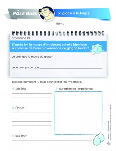 LaFeuilleMobile_pole-Nord_Glace-a-la-loupe_3-4-18